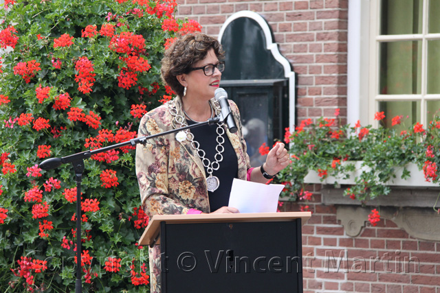 Veteranendag 2014